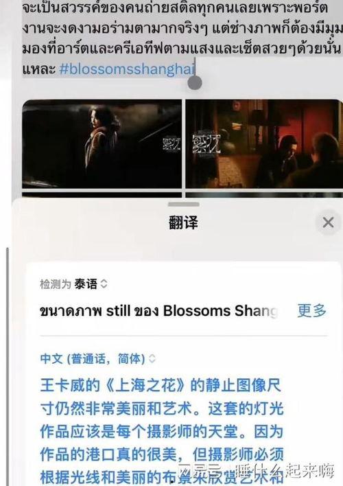 外网爆料魏继英视频,揭秘背后惊人真相