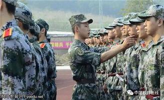 爆料军训教官犯法吗视频,视频曝光引发社会关注  第3张